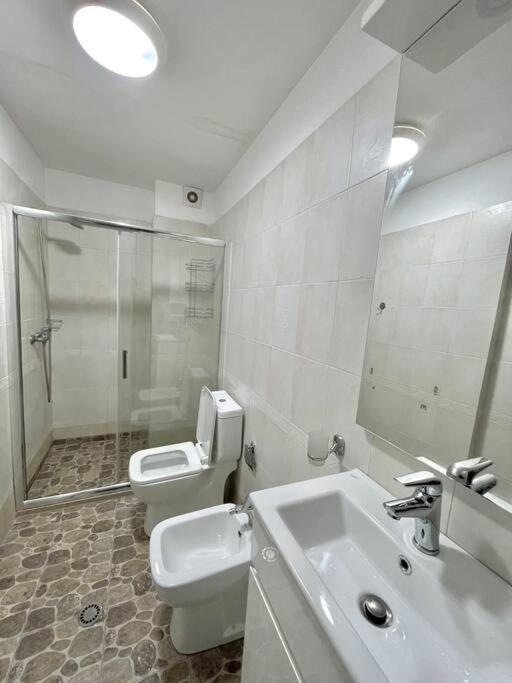 公寓 Flat In The Center Tirana